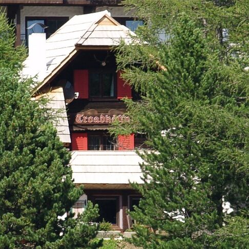 Ansicht Lärchen-Troadkastn zwischen Bäumen